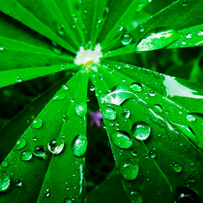 折扣优惠便宜的ddos攻击