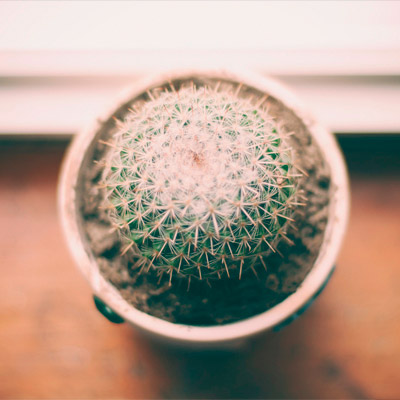 ip攻击器网页版