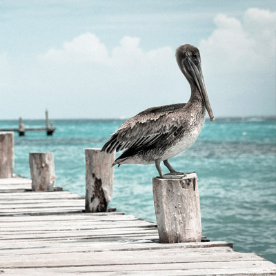 ip攻击器网页版